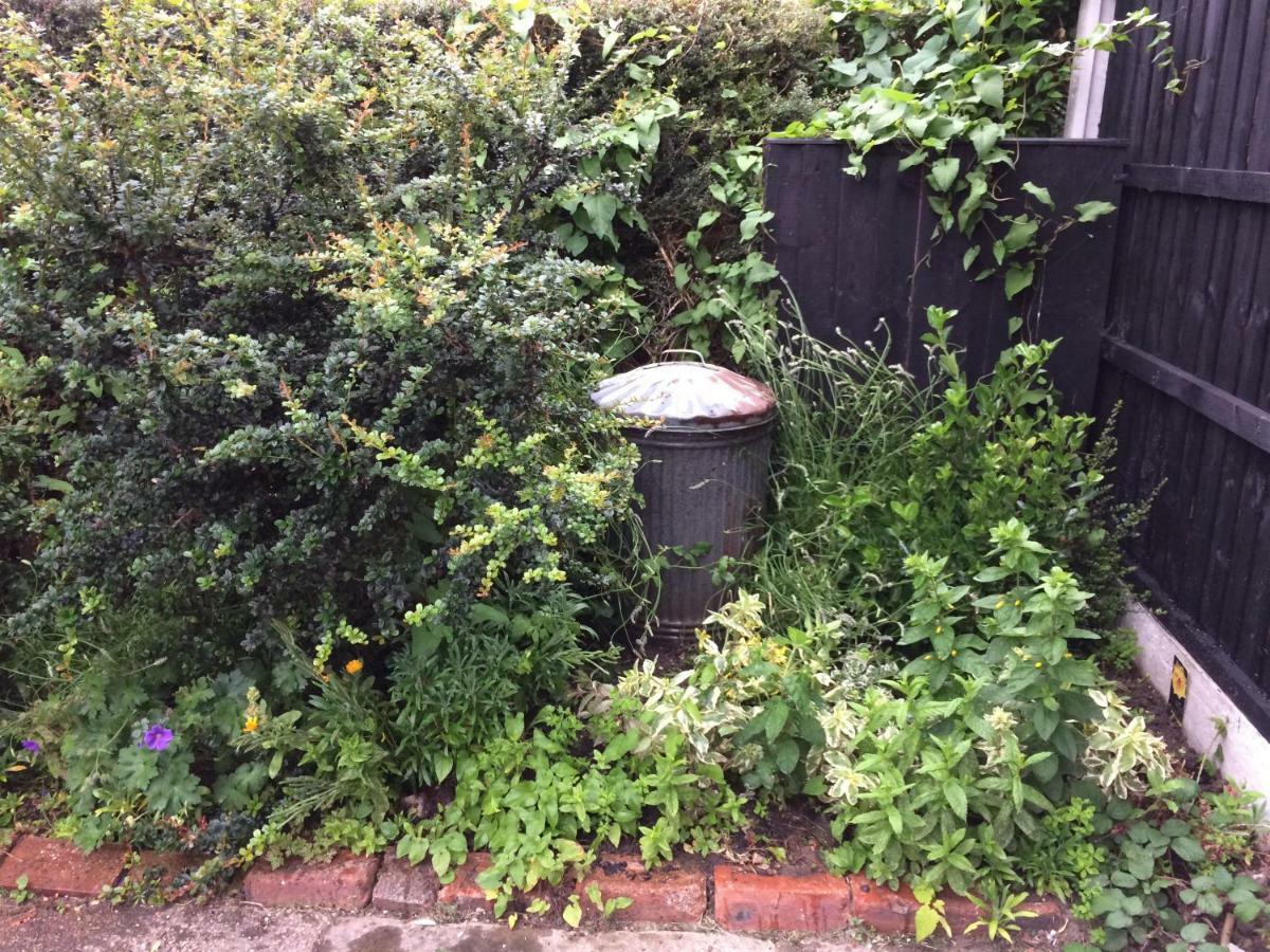 Rhuddlan Houseヴィラ エクステリア 写真
